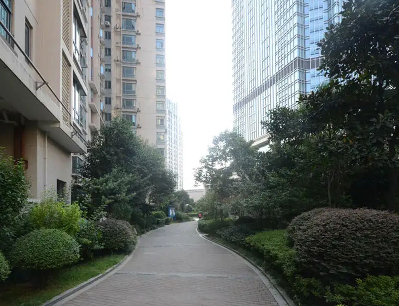 东湖春树里